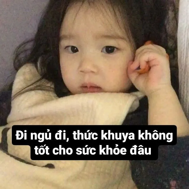 Mèo buồn ngủ meme với dáng vẻ ngộ nghĩnh là lựa chọn không thể bỏ qua
