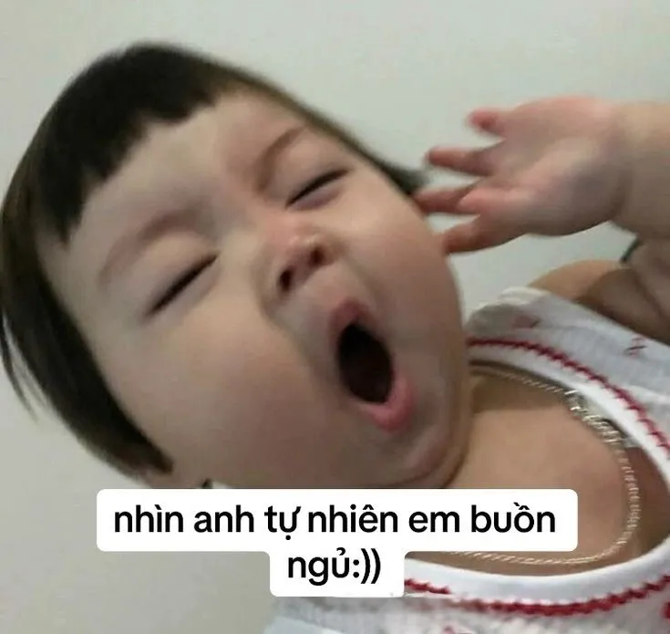 Tom buồn ngủ meme khiến ai cũng phải phì cười vì dáng vẻ đáng yêu