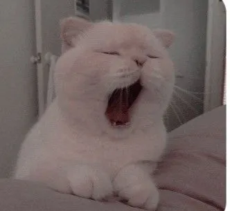Meme em bé buồn ngủ với biểu cảm ngộ nghĩnh sẽ làm bạn thích thú
