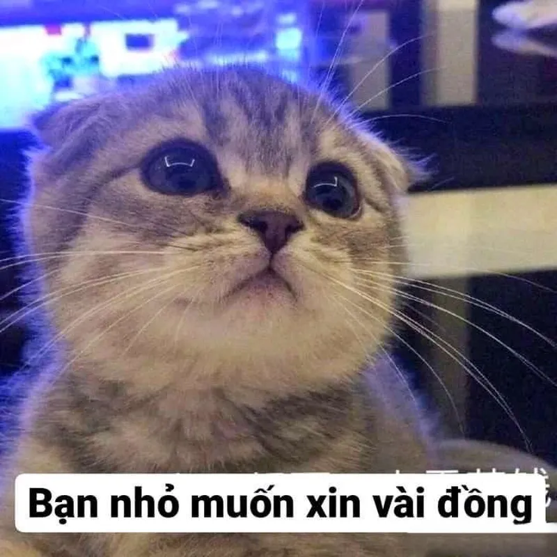 Meme rút tiền sẽ khiến bạn cười sảng khoái khi phải đối mặt với những tình huống 'rút tiền' bất ngờ.