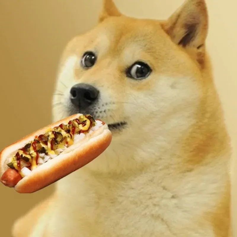 Doge Shiba Inu meme là hiện tượng mạng, dễ thương và đầy hài hước.