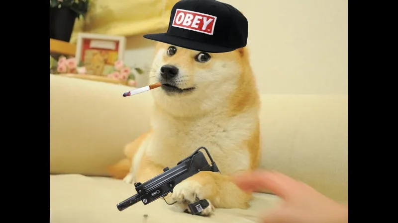 Chú chó shiba meme tạo nên tiếng cười sảng khoái với biểu cảm đầy hài hước.