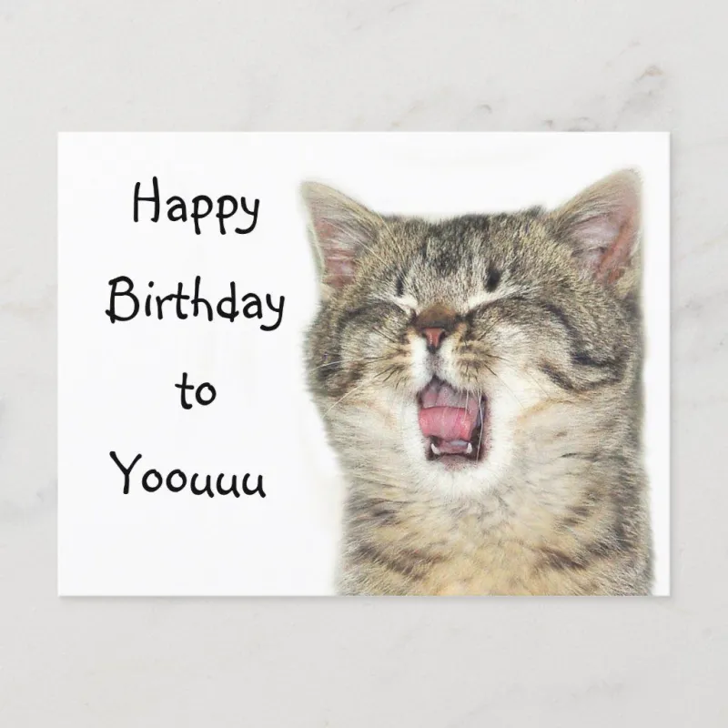 Funny happy birthday meme khiến mọi người bật cười trong ngày sinh nhật
