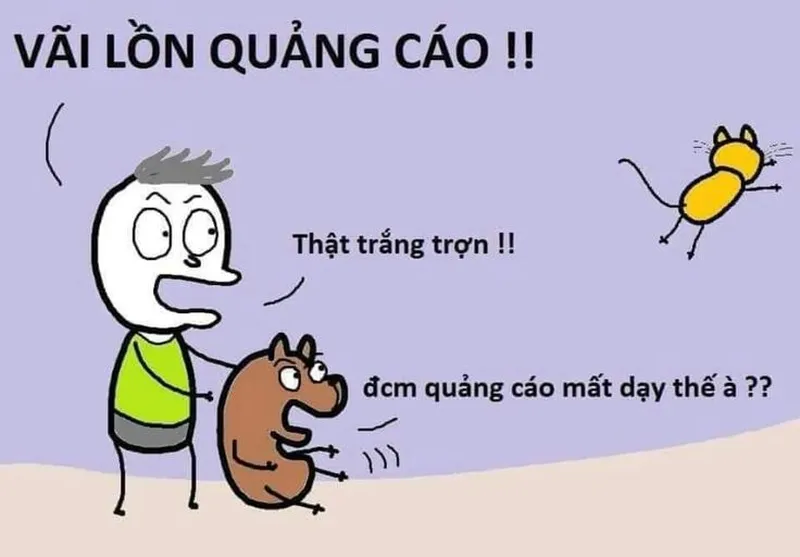 Meme Duolingo chửi hot trend khiến bạn bật cười ngay từ cái nhìn đầu tiên