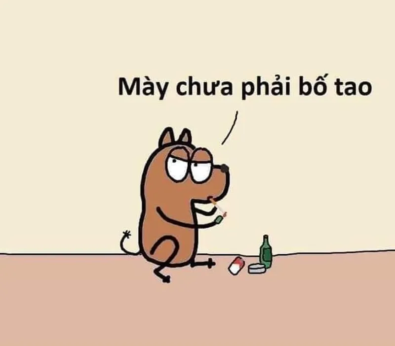 Những meme chửi người dí dỏm, mang lại tiếng cười trong các tình huống vui vẻ