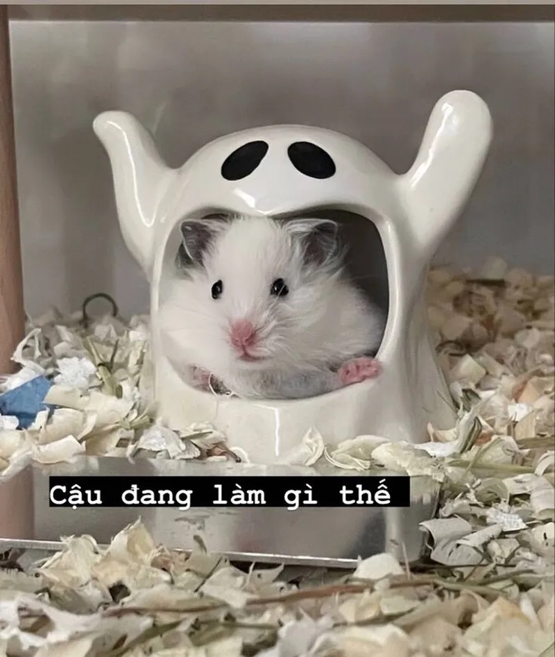Meme chuột Jerry cười tươi, làm sáng bừng không khí vui vẻ và hài hước.