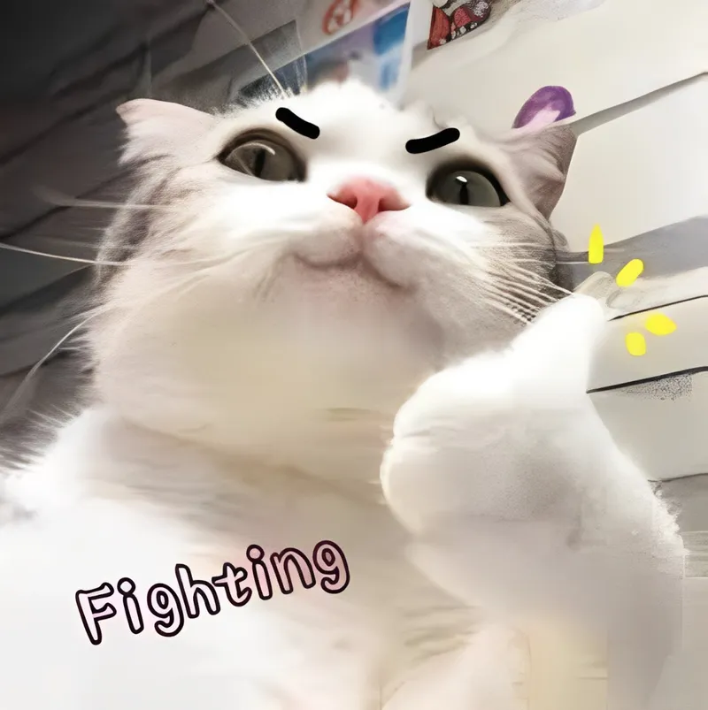 Hãy lên tinh thần và sẵn sàng đối mặt với thử thách cùng meme hài hước này.