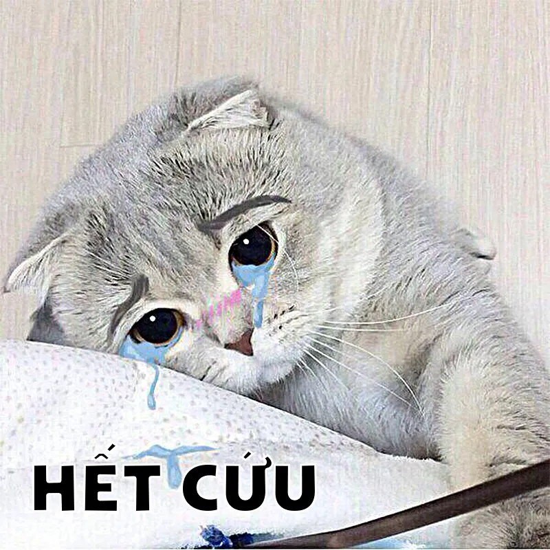 Meme cứu tao với thông điệp hài hước về những tình huống cực kỳ khó đỡ nhưng lại gây cười không ngừng. Đừng bỏ qua những khoảnh khắc này.