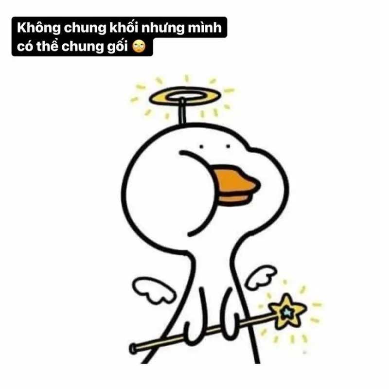 Hình nền vịt meme hài hước, làm sáng bừng màn hình của bạn.