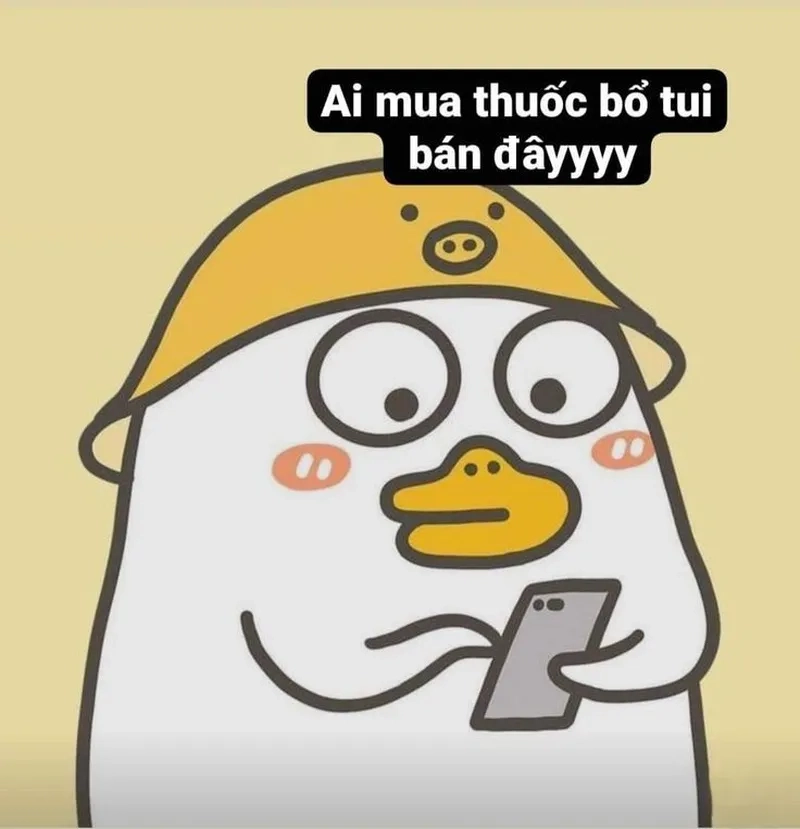 Meme vịt vàng chu mỏ, sự kết hợp hài hước và dễ thương.