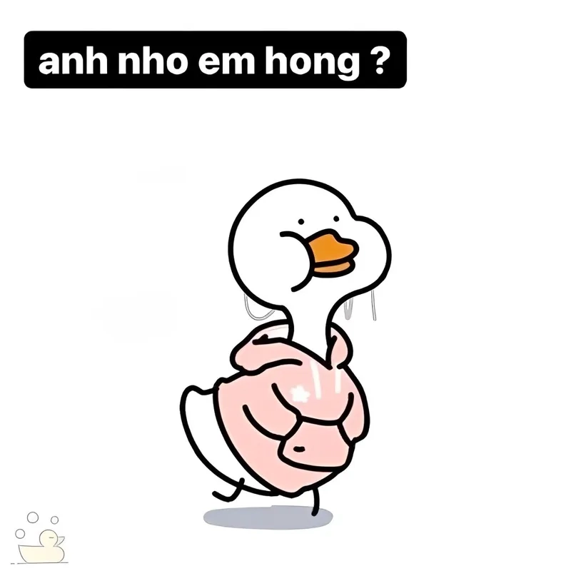 Hình vịt meme siêu hài, sẵn sàng cho mọi cuộc trò chuyện vui vẻ.