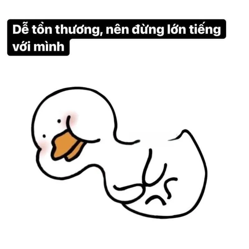 Meme ngỗng ngáo ngơ cực hài trên Weibo.