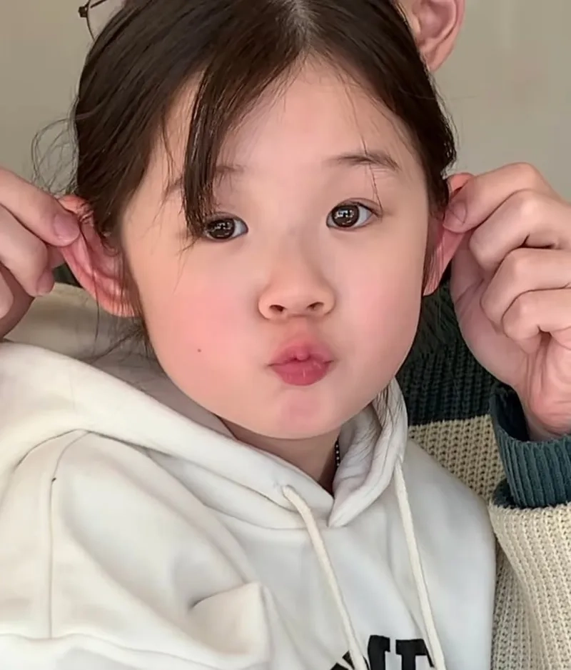 Khoảnh khắc đáng yêu và hài hước từ ảnh mèo meme