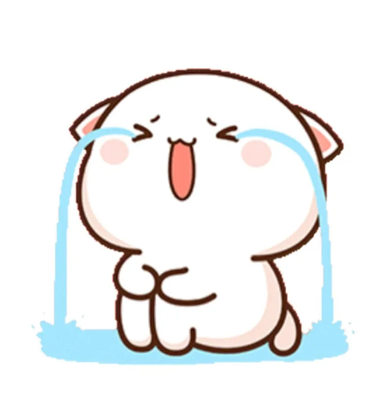 Meme cat crying thể hiện cảm xúc ngây ngô mà ai cũng phải bật cười.