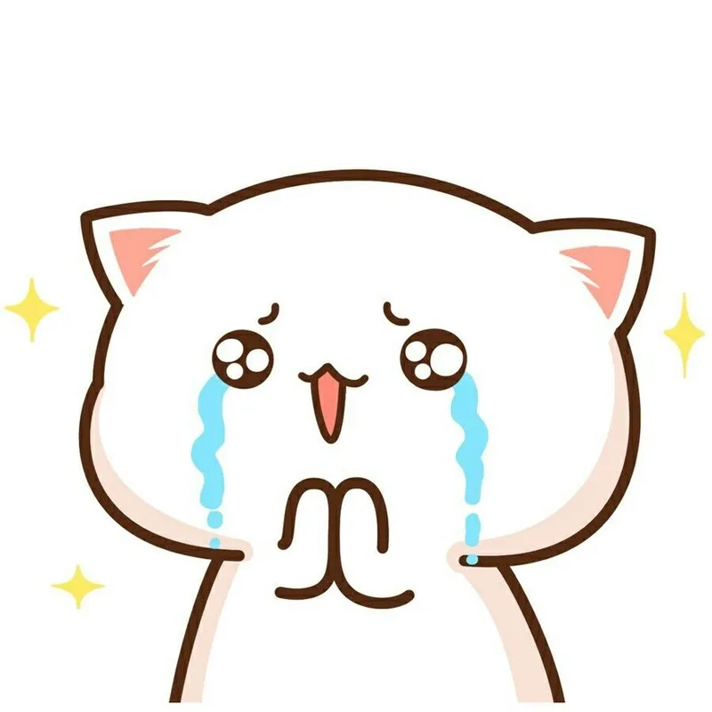 Cry cat meme mang lại cảm xúc vừa buồn vừa hài hước, thu hút hàng ngàn lượt thích.