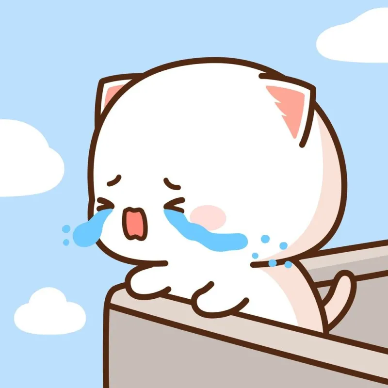 Meme khóc cười là hình ảnh độc đáo thể hiện cảm xúc lẫn lộn, vừa hài vừa sâu sắc.