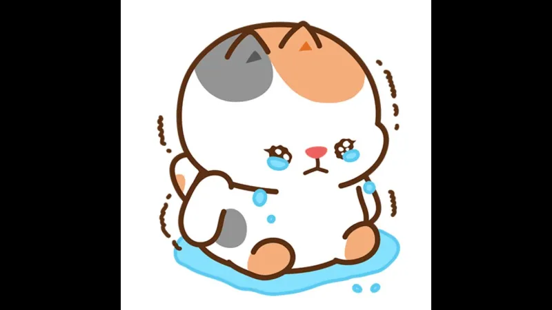 Vừa khóc vừa cười meme là cách hoàn hảo để diễn tả cảm xúc mâu thuẫn trong những tình huống dở khóc dở cười.