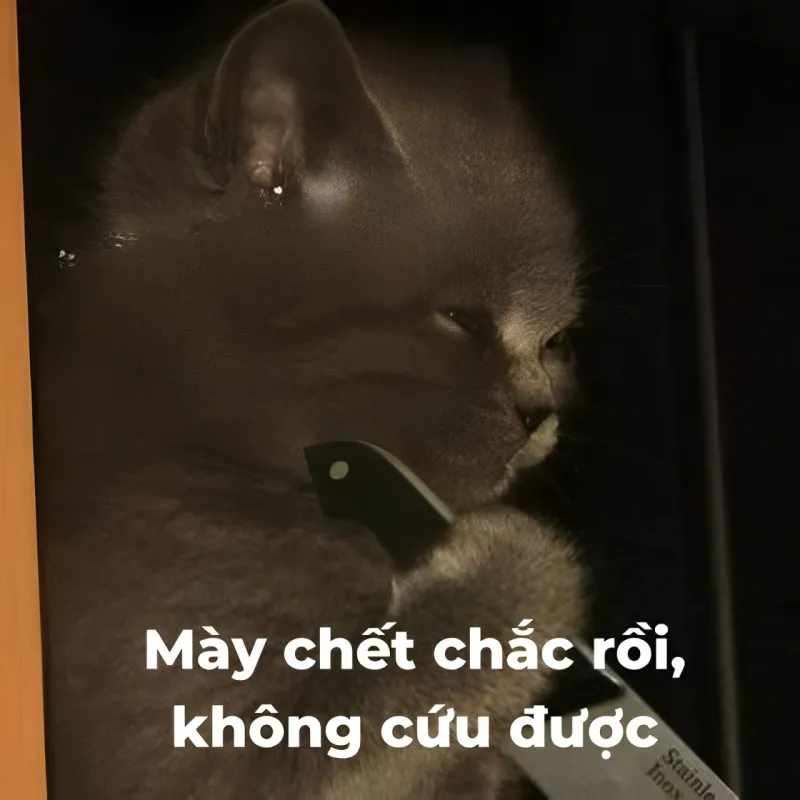 Còn cứu meme là những tình huống tưởng chừng như không thể cứu nhưng lại mang đến một thông điệp vui nhộn, khiến bạn phải bật cười.