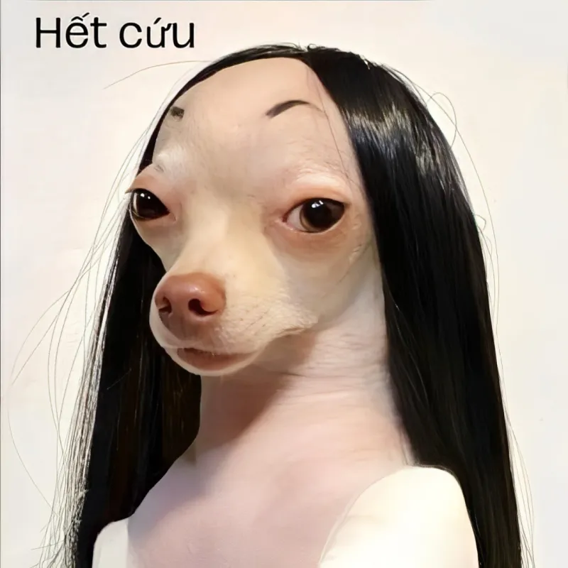 Gen Z meme hết cứu là những hình ảnh mang tính sáng tạo và hài hước vượt qua mọi giới hạn, thu hút sự chú ý của giới trẻ.