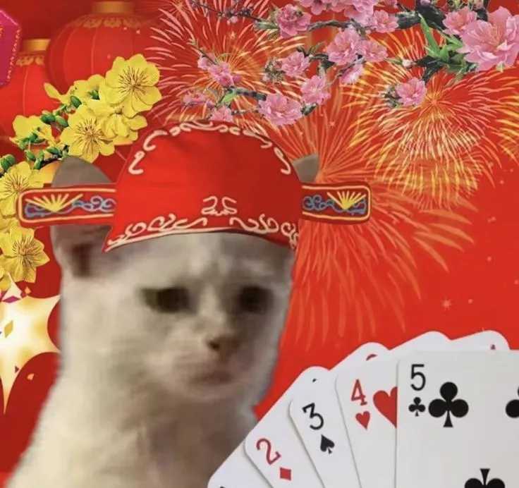 Mất cả bạn lẫn tiền với meme đánh bài thua nhưng vẫn cười ngất