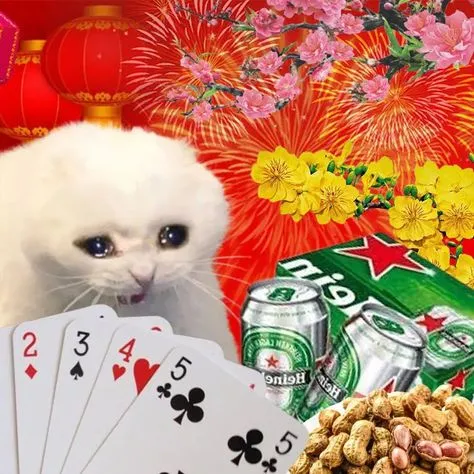 Chia sẻ meme đánh bài thua để troll hội cờ bạc dịp lễ Tết