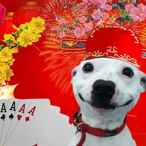 Mèo cũng nhập cuộc, meme mèo đánh bài tết làm ai cũng phì cười