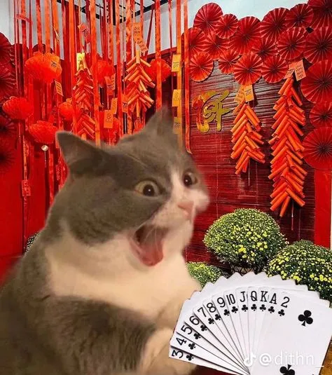 Meme đánh bài tết khiến các trận bài vui nhộn hơn gấp bội