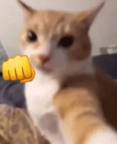 Cầm dép và 
