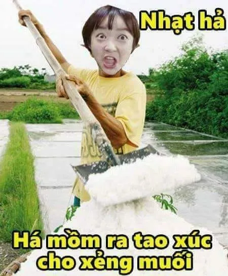Meme đánh đập nhưng hài hước sẽ khiến mọi cuộc hội thoại trở nên thú vị
