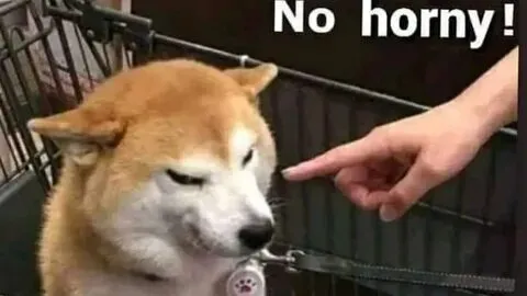 Meme đánh máy tính nhưng lại khiến người xem phì cười vì quá sáng tạo