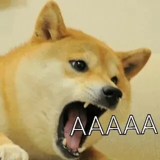 Cười thả ga với meme đánh thức cùng những tình huống ngộ nghĩnh