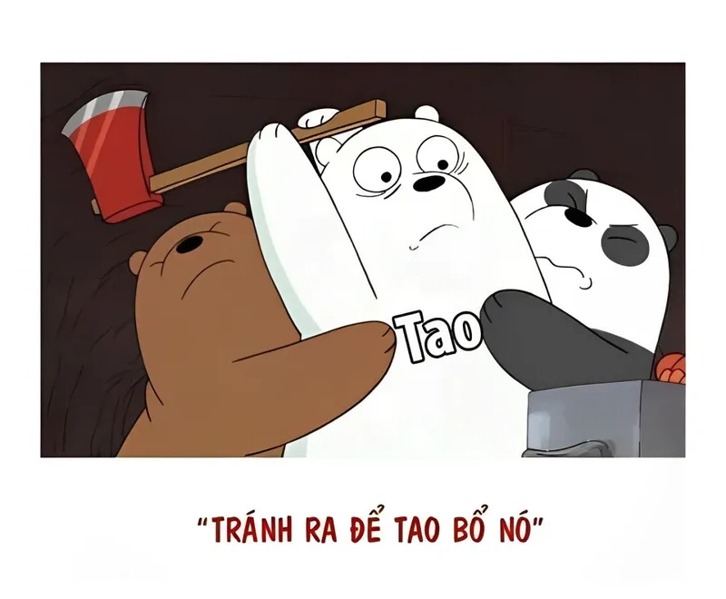 Meme gấu trúc đánh cực kỳ dễ thương với những tình huống hài hước.