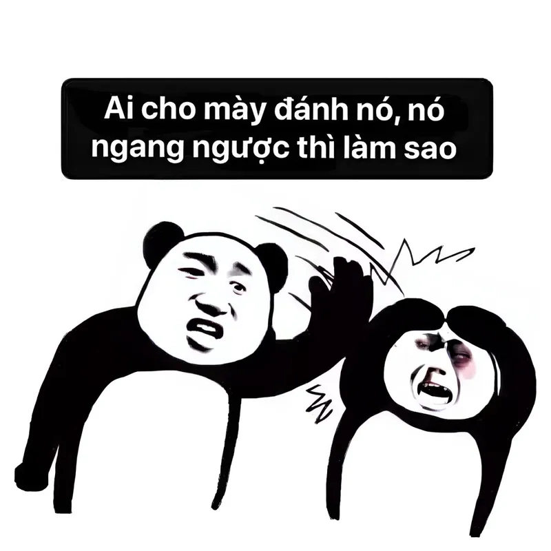 Xin đừng đánh nhau meme mang đến những khoảnh khắc hài hước trong cuộc sống.