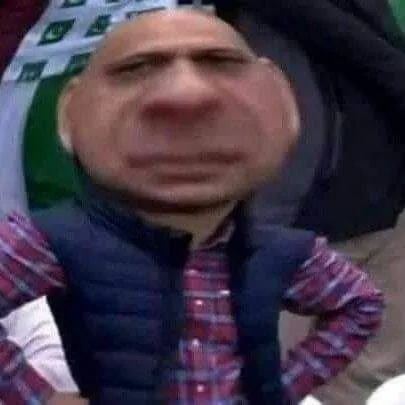 Meme mèo đánh giá tái hiện biểu cảm siêu đáng yêu và hài hước