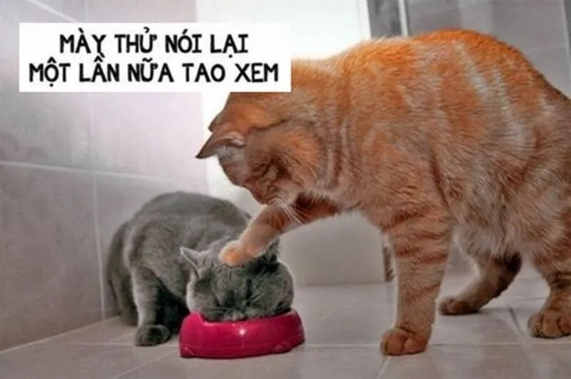 Meme mẹ đánh con thường gây cười với những tình huống mẹ con hài hước.