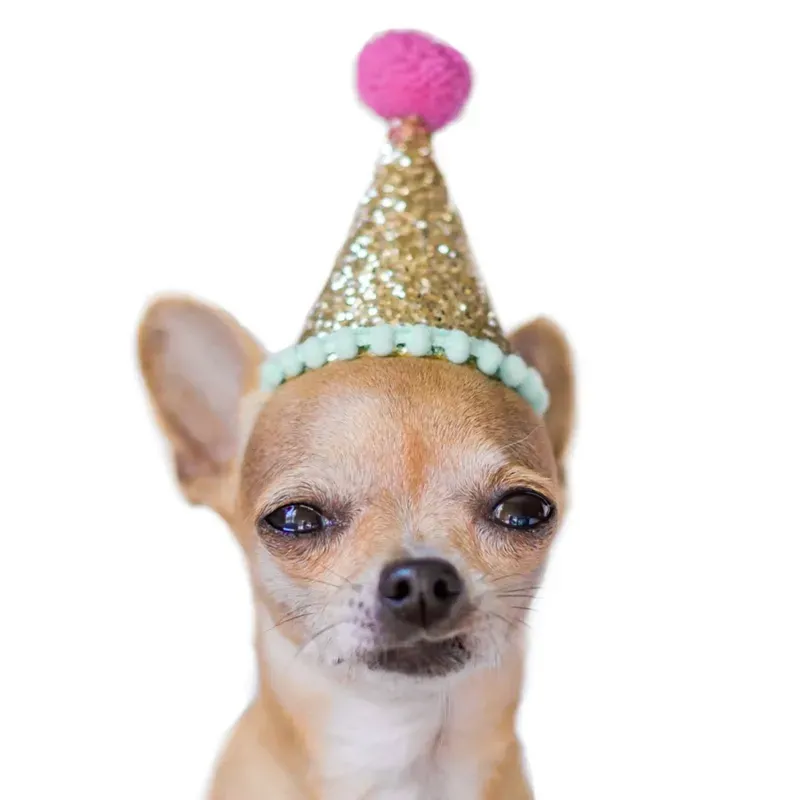 Angry dog meme - khi sự giận dữ được biến hóa thành những khoảnh khắc hài hước.