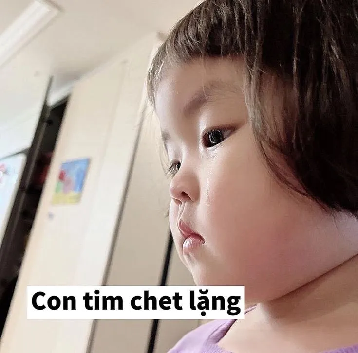 Khóc meme em bé cute hài hước là cách tuyệt vời để mang lại niềm vui.