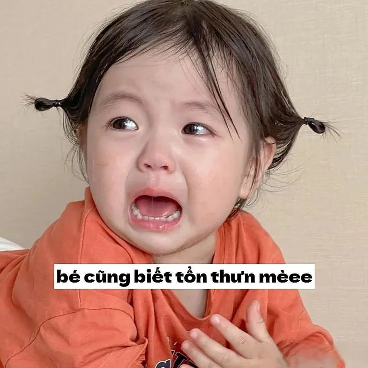 Avatar meme ảnh em bé cute là lựa chọn hoàn hảo để nổi bật trên mạng xã hội.