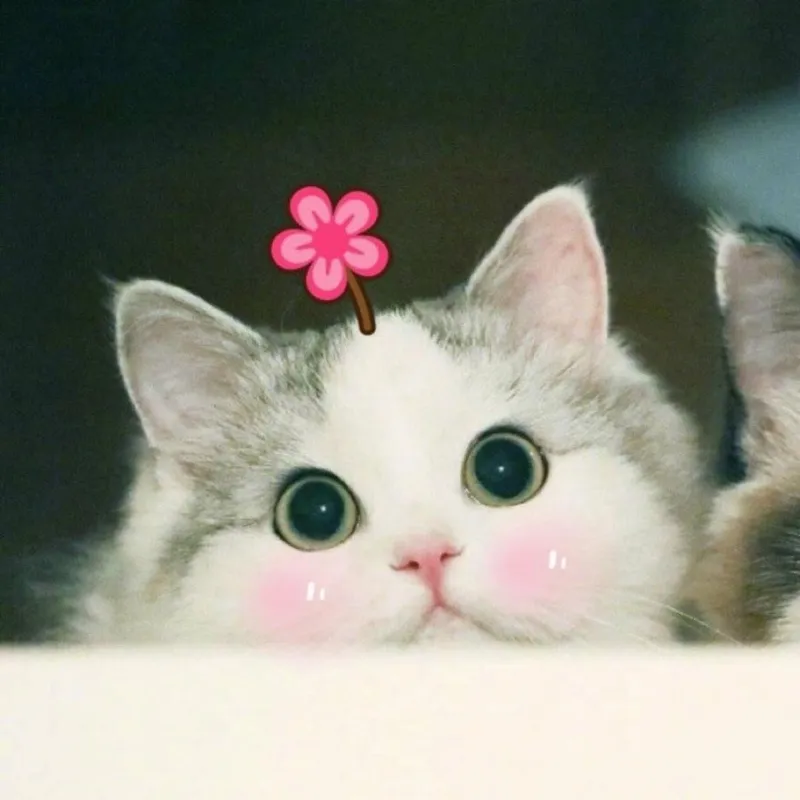 Meme anh da đen gãi đầu ngại chắc chắn khiến bạn phải bật cười.