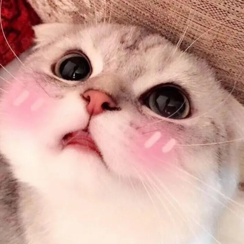 Meme anh da đen ngại mang đến sự hài hước qua biểu cảm ngại ngùng.