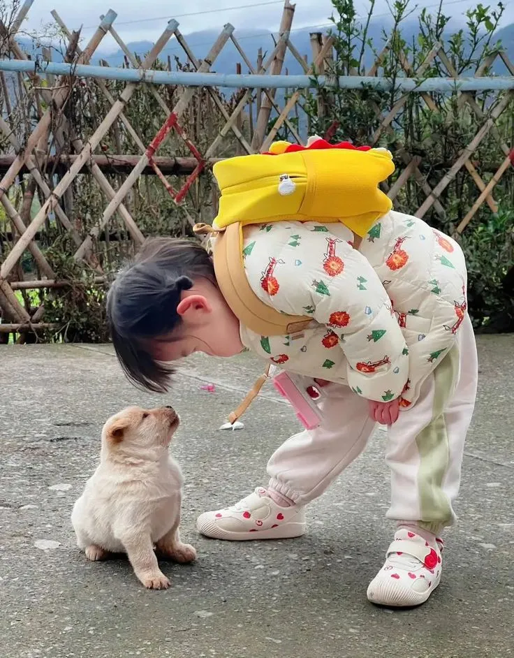 Meme em bé tan biến mang lại tiếng cười từ sự sáng tạo hài hước.
