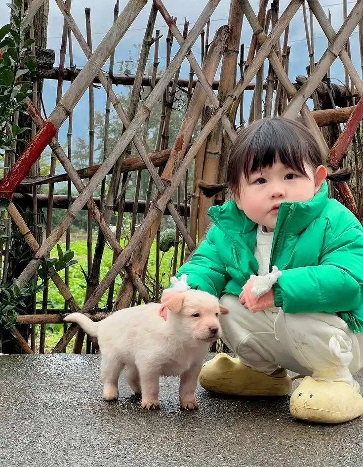 Meme em bé quyết tâm là khoảnh khắc truyền cảm hứng ngộ nghĩnh cho mọi người.