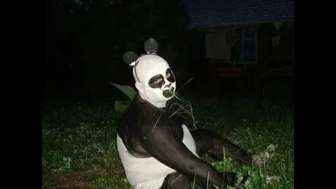 Meme gấu trúc bựa weibo là lựa chọn hàng đầu để tăng tương tác hài hước