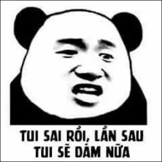 Cười ngất với meme con gấu Trung Quốc hài hước và đáng yêu