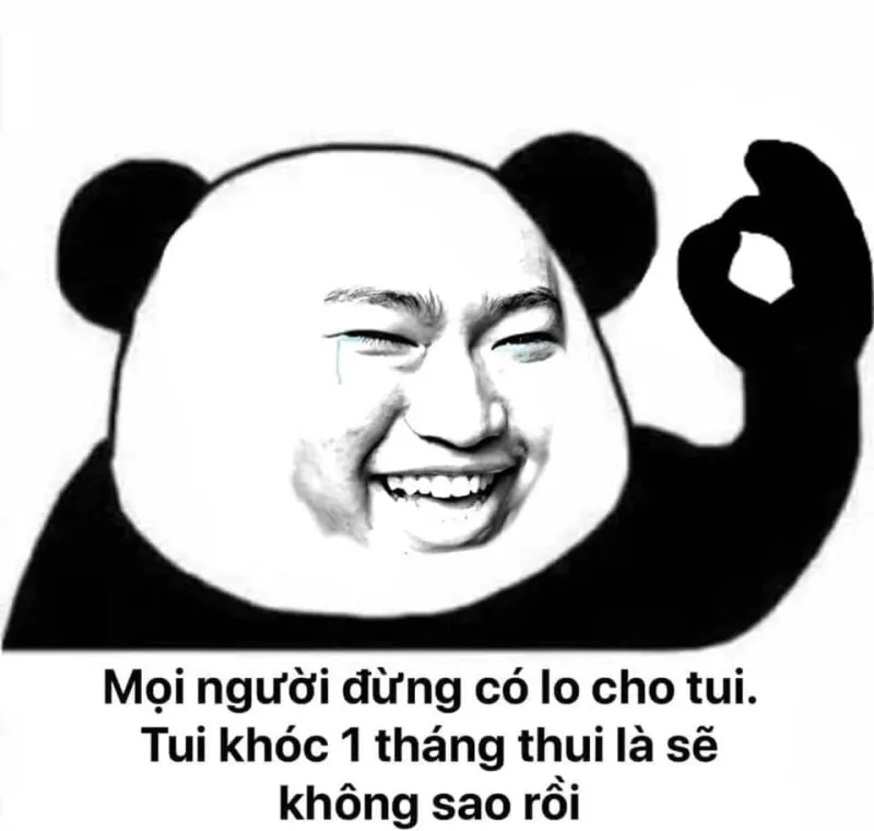 Tải ngay ảnh hài từ meme gấu trúc Weibo để thêm niềm vui cho ngày mới