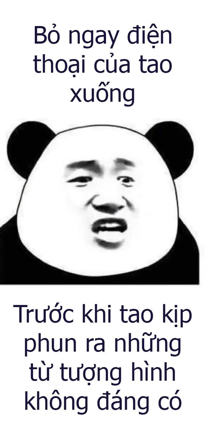 Những biểu cảm hài hước từ meme gấu trúc khiến ai cũng bật cười