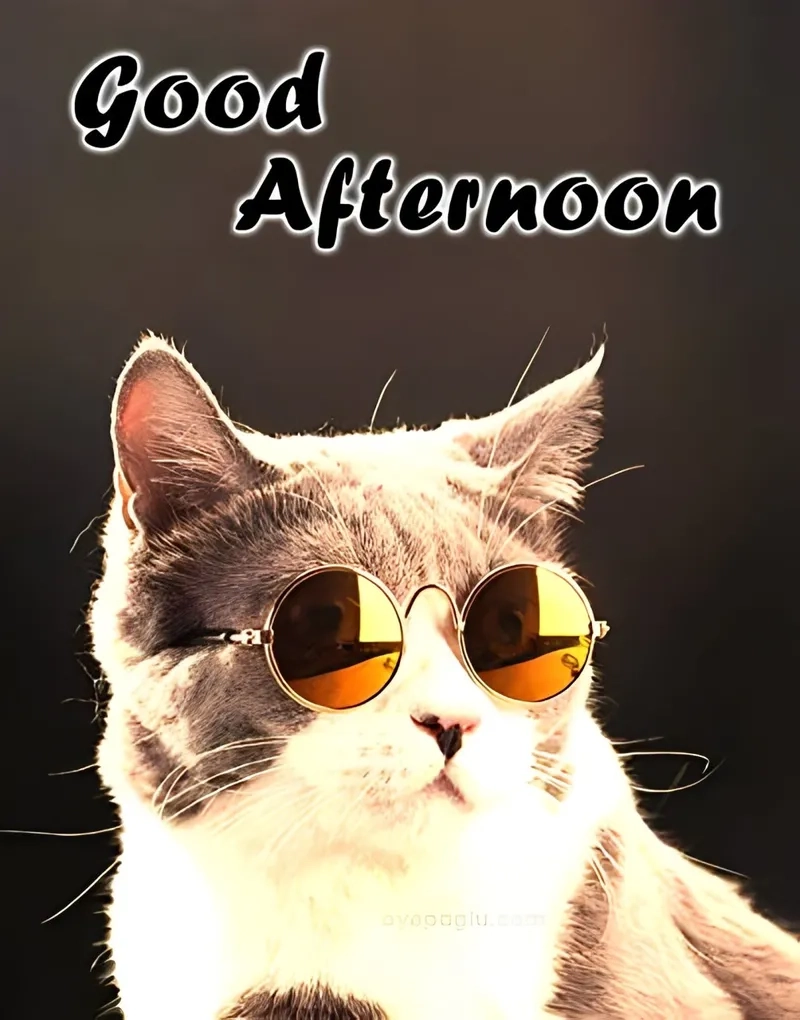 Những giây phút đáng nhớ được thể hiện sống động qua meme good times.