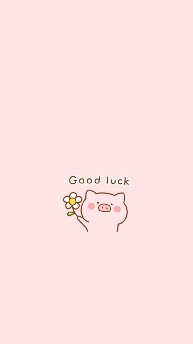 Một lời chúc đơn giản nhưng ý nghĩa với good luck meme vui nhộn.