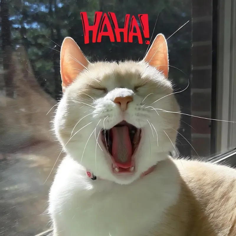 Meme vui nhộn khiến bạn phải nhớ mãi không quên.