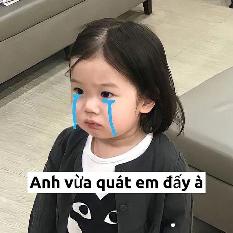 Khám phá các meme hài hước và cùng chia sẻ với bạn bè những khoảnh khắc thú vị.